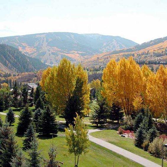 Beaver Creek West Condos Avon Zařízení fotografie